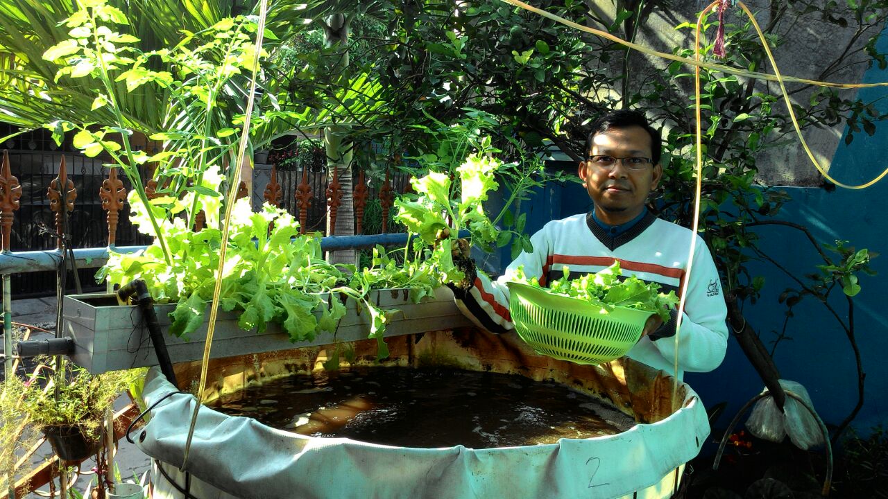 Dosen FPP UMM, Riza Rahman Hakim MSc ciptakan konsep one house one pond yang cocok bagi urban farming.